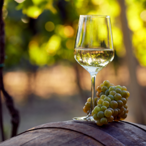 The World of White Wines