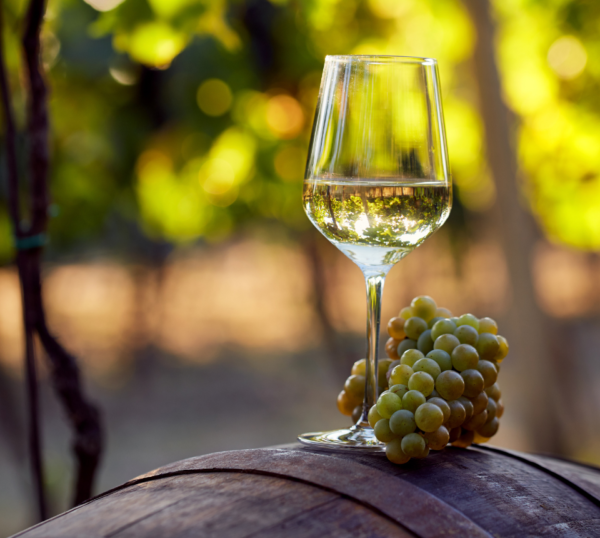The World of White Wines